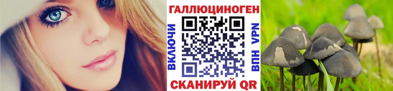 Галлюциногенные грибы GOLDEN TEACHER Козельск