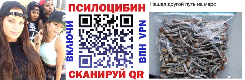 Галлюциногенные грибы Psilocybine cubensis Козельск